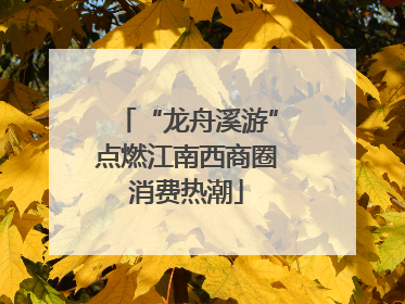 “龙舟溪游”点燃江南西商圈消费热潮